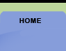 home button