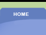 home button